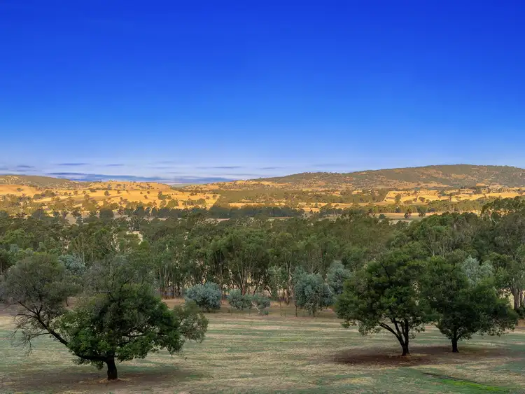 Fifth view of Homely rural property listing, 450 Longwood-Ruffy Road, Longwood East VIC 3666