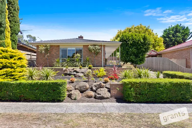 19 Andene Drive, Narre Warren VIC 3805