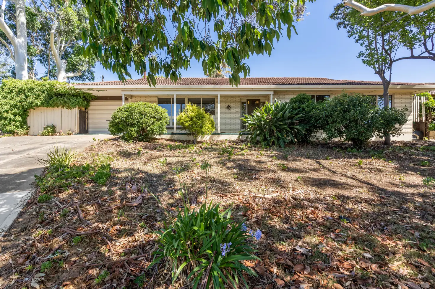 Main view of Homely house listing, 4 Greenwillow Crescent, Happy Valley SA 5159