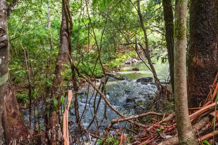 Main view of Homely land listing, 27 Lloyds Road, Springbrook QLD 4213