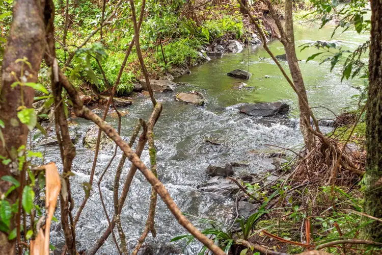 Fourth view of Homely land listing, 27 Lloyds Road, Springbrook QLD 4213