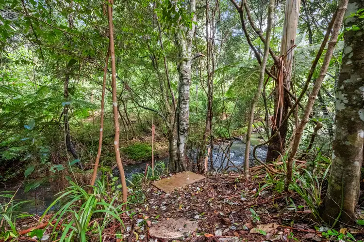 Sixth view of Homely land listing, 27 Lloyds Road, Springbrook QLD 4213