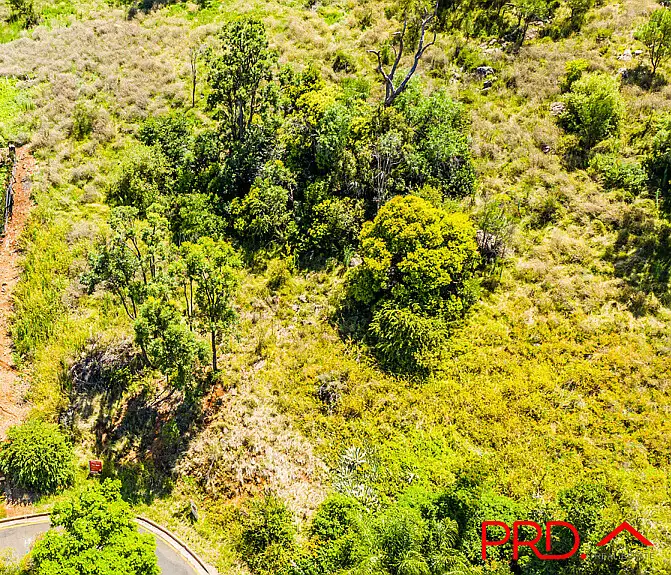 33 Terole Avenue, Tamworth NSW 2340