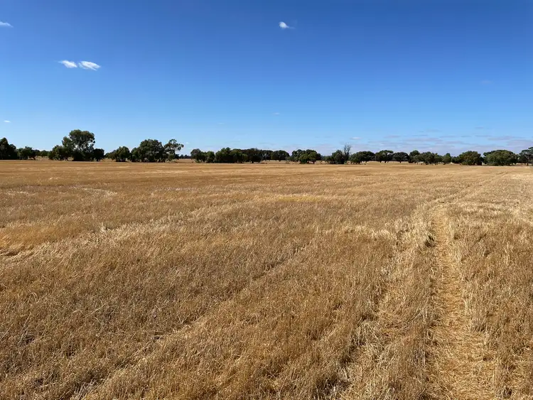 Second view of Homely rural property listing, Lot 3 Yenyenning Lakes Road, Kokeby WA 6304