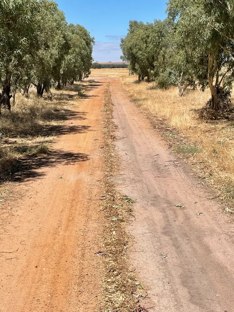 Third view of Homely rural property listing, Lot 3 Yenyenning Lakes Road, Kokeby WA 6304