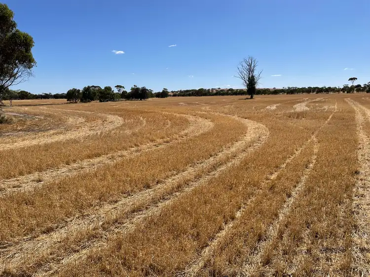 Fourth view of Homely rural property listing, Lot 3 Yenyenning Lakes Road, Kokeby WA 6304