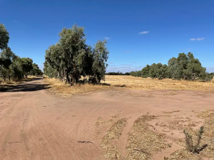 Fifth view of Homely rural property listing, Lot 3 Yenyenning Lakes Road, Kokeby WA 6304