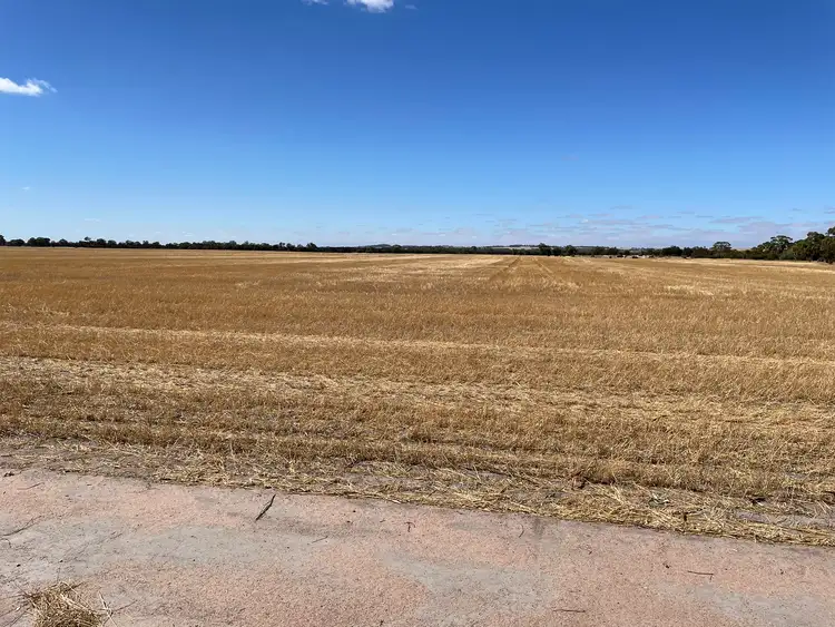 Seventh view of Homely rural property listing, Lot 3 Yenyenning Lakes Road, Kokeby WA 6304