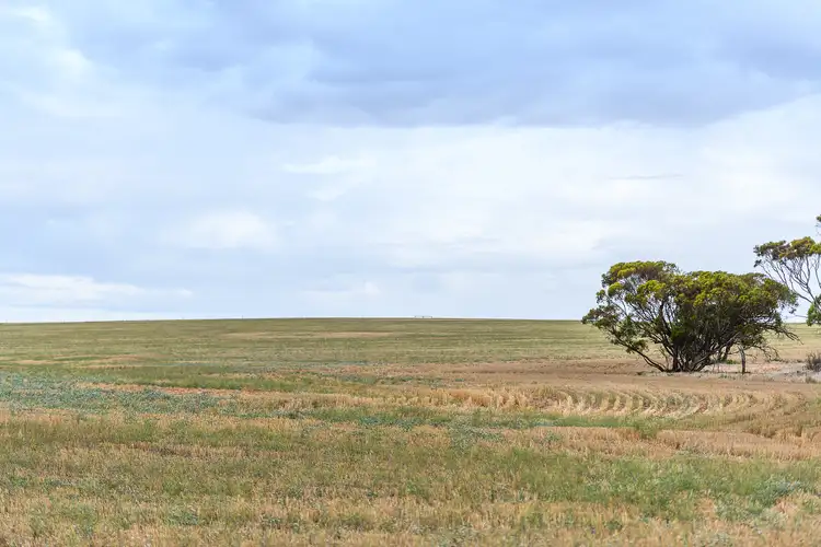 Seventh view of Homely rural property listing, 13 KELLYS HILL ROAD, Kainton SA 5552