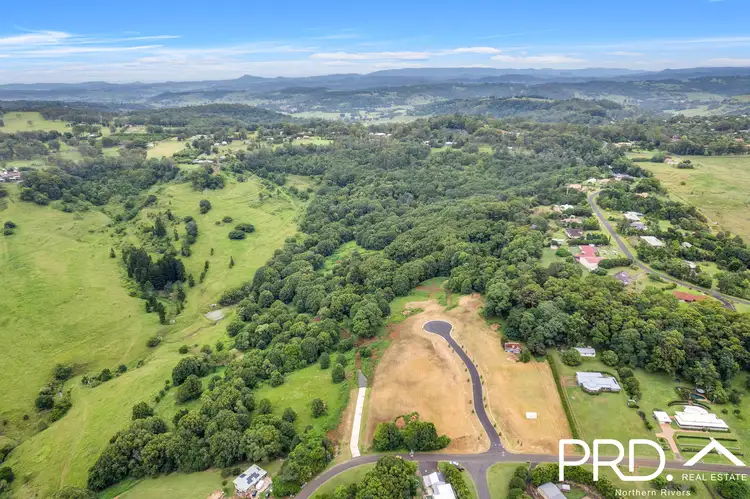 7 Birdwing Place, Modanville NSW 2480