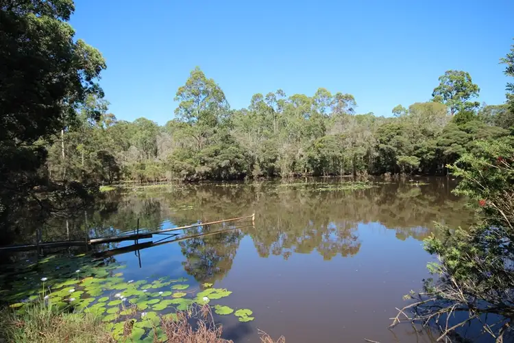 Fifth view of Homely rural property listing, 461 Cedar Party Road, Cedar Party NSW 2429