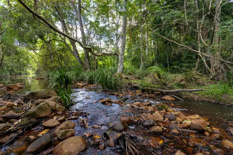 Main view of Homely rural property listing, 10 Holey Flat Lane, Moorland NSW 2443