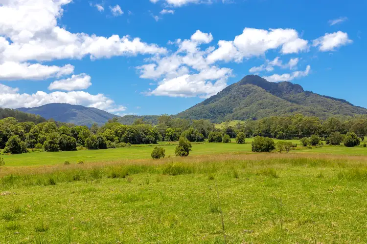 Sixth view of Homely rural property listing, 10 Holey Flat Lane, Moorland NSW 2443
