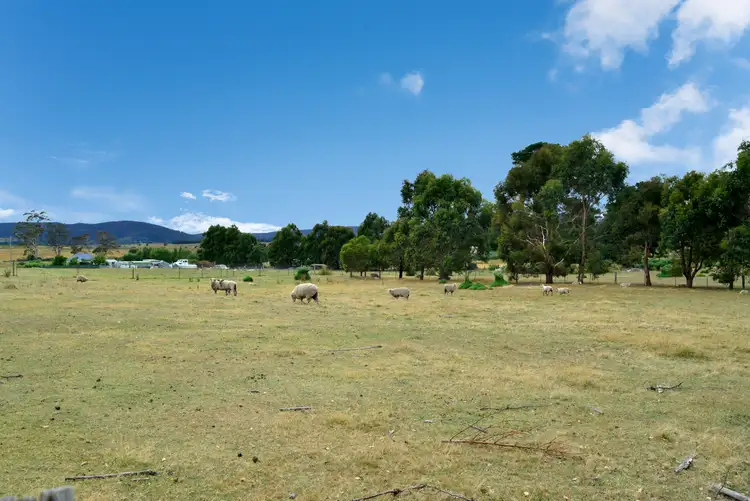 Second view of Homely house listing, 17 Cruttenden Street, Buckland TAS 7190