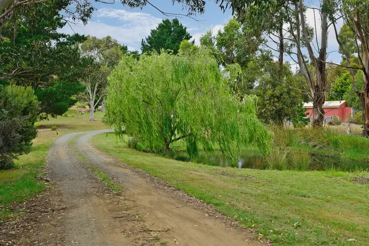 Third view of Homely house listing, 17 Cruttenden Street, Buckland TAS 7190