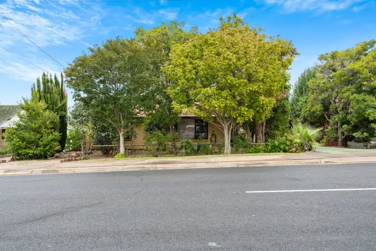 29 McKinna Road, Christie Downs SA 5164