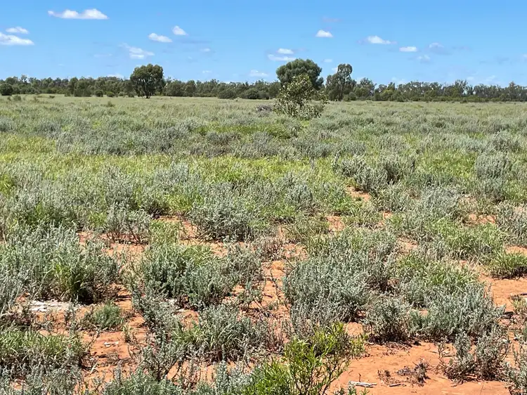 Fifth view of Homely rural property listing, 2656 LOWER DAYMAR ROAD, Daymar QLD 4497