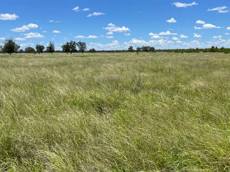 Seventh view of Homely rural property listing, 2656 LOWER DAYMAR ROAD, Daymar QLD 4497
