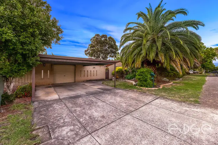 Main view of Homely house listing, 14 Menzies Avenue, Hope Valley SA 5090