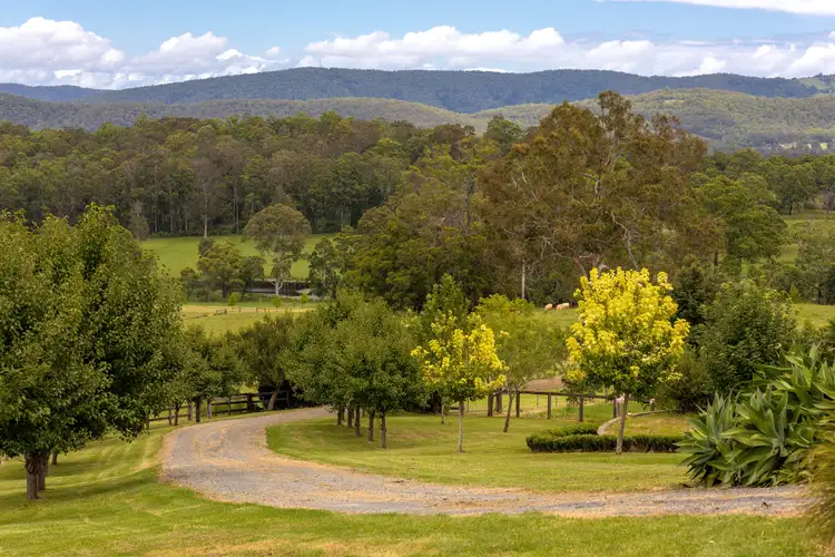 Third view of Homely rural property listing, Regatta Park 182 Minimbah West Branch Road, Minimbah NSW 2312