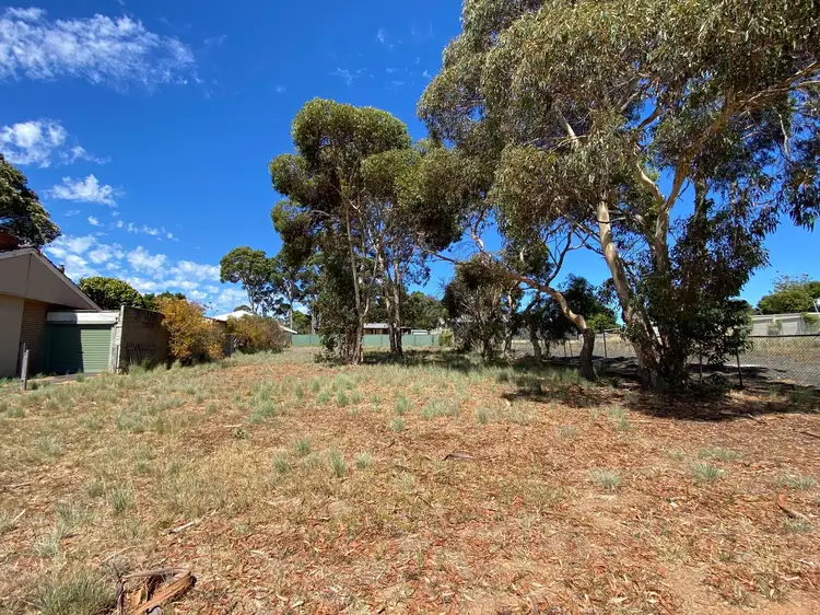 21 Le Souef Street, Margaret River WA 6285