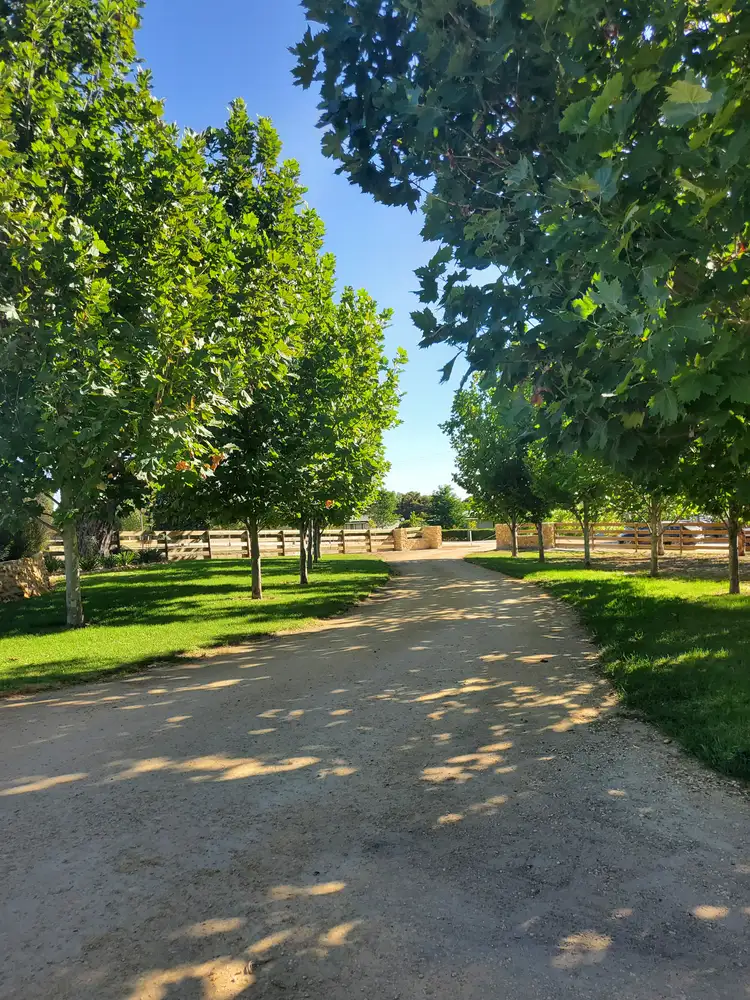 Third view of Homely rural property listing, 80 Rotary Avenue, Naracoorte SA 5271