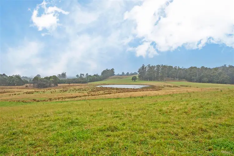 Fourth view of Homely rural property listing, 2449 Castra Road, Upper Castra TAS 7315