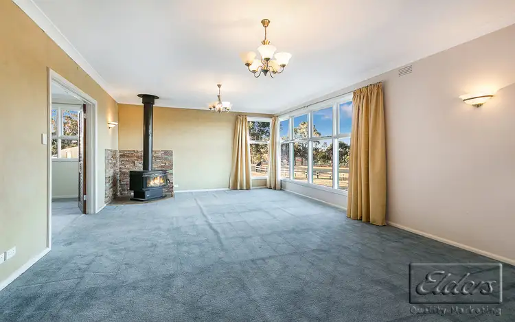 Fifth view of Homely rural property listing, 1017 Axe Creek Road, Axe Creek VIC 3551