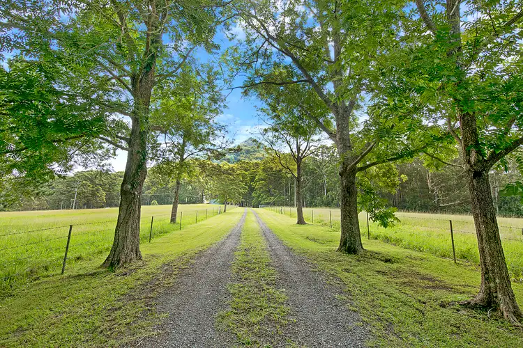 Main view of Homely rural property listing, 261 Riddles Brush Road, Johns River NSW 2443