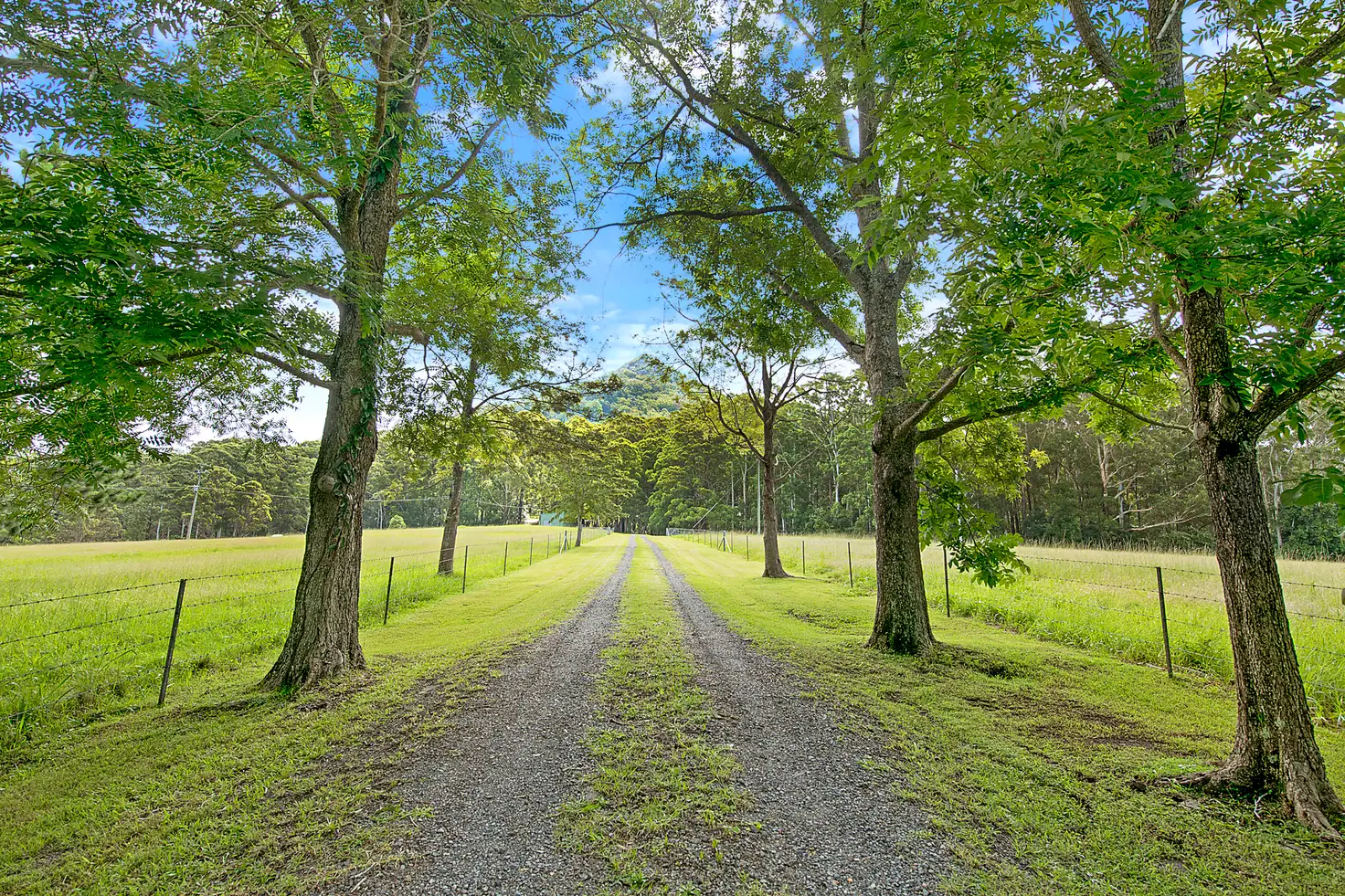 Main view of Homely rural property listing, 261 Riddles Brush Road, Johns River NSW 2443