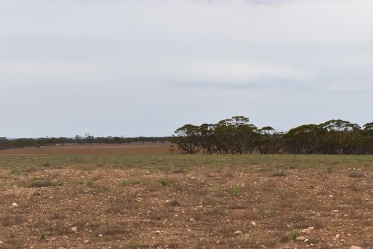 Seventh view of Homely land listing, LOT 327 Diagonal Road, Brownlow SA 5374