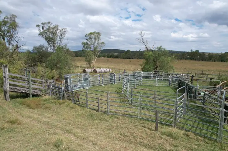 Third view of Homely rural property listing, 1017 ACRES CATTLE GRAZING, Jandowae QLD 4410