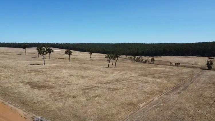 Sixth view of Homely rural property listing, Lots Off Greville Road, Kingston WA 6256