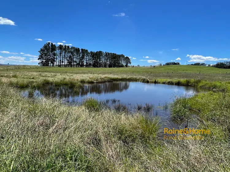 Third view of Homely rural property listing, 52 Tops Road, Gloucester NSW 2422