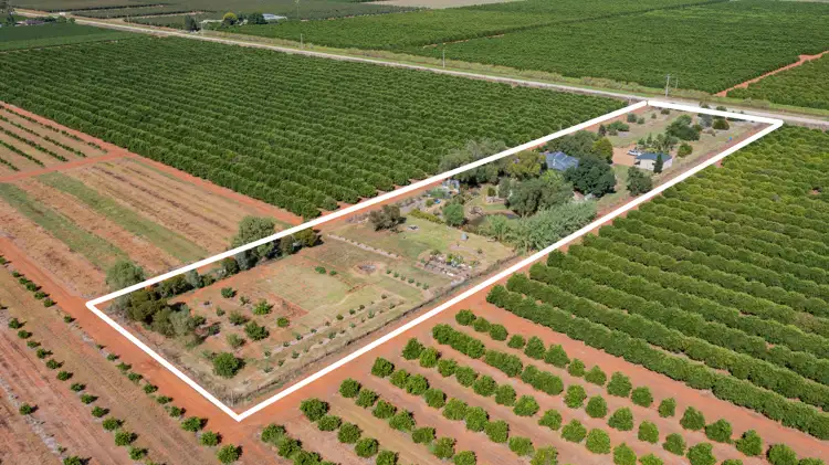 Main view of Homely house listing, 214 Mcdonald Road, Bilbul NSW 2680
