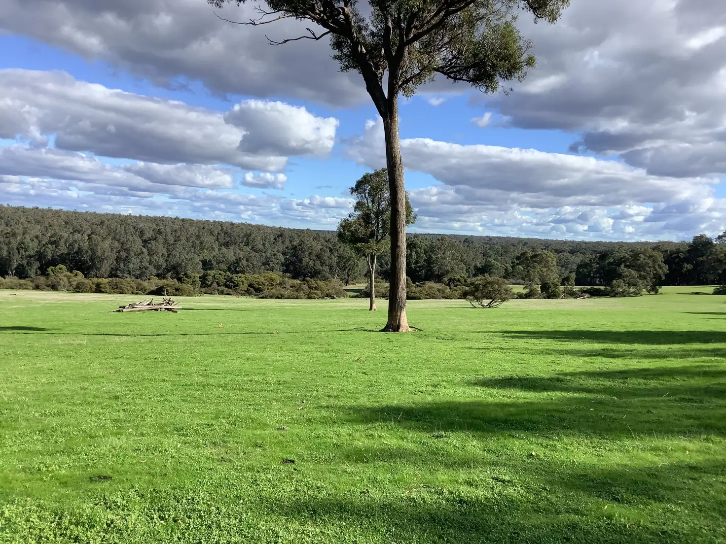 Main view of Homely rural property listing, Lot 1561 & 929 Cundinup West Road (Cundinup), Nannup WA 6275