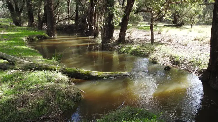 Second view of Homely rural property listing, Lot 1561 & 929 Cundinup West Road (Cundinup), Nannup WA 6275