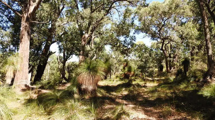 Fourth view of Homely rural property listing, Lot 1561 & 929 Cundinup West Road (Cundinup), Nannup WA 6275