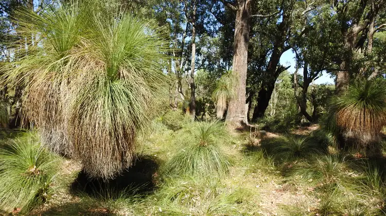 Sixth view of Homely rural property listing, Lot 1561 & 929 Cundinup West Road (Cundinup), Nannup WA 6275