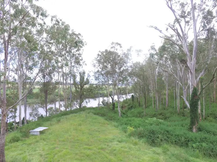 Third view of Homely rural property listing, 9995 Clarence Way, Louisa Creek NSW 2469