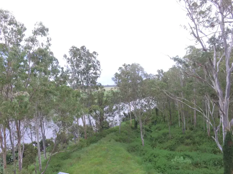 Fourth view of Homely rural property listing, 9995 Clarence Way, Louisa Creek NSW 2469