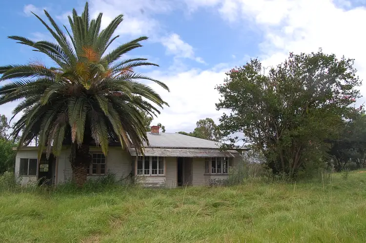 Sixth view of Homely rural property listing, 9995 Clarence Way, Louisa Creek NSW 2469