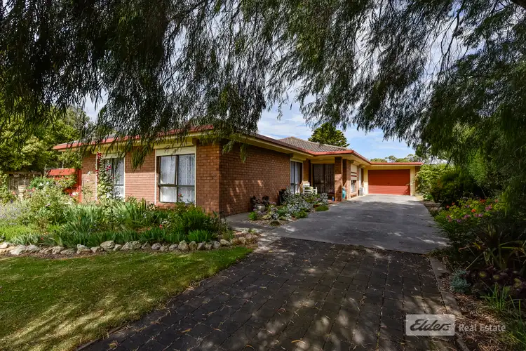 1 Bridges Street, Millicent SA 5280