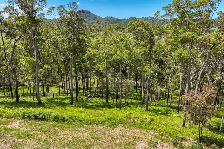 Main view of Homely land listing, 40 Rocky Creek Forest Road, Maroochy River QLD 4561
