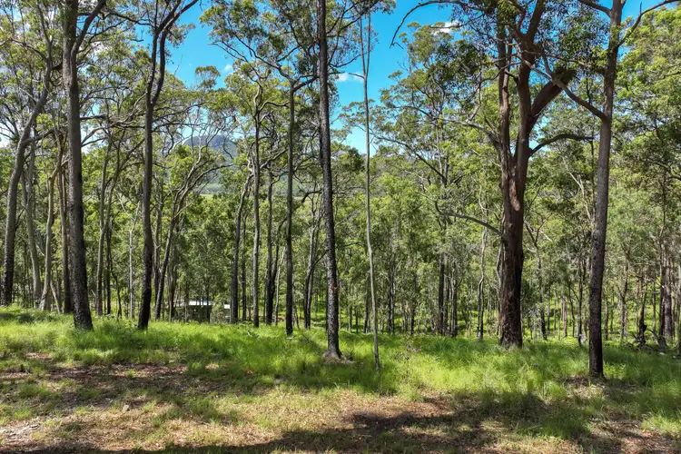 Third view of Homely land listing, 40 Rocky Creek Forest Road, Maroochy River QLD 4561