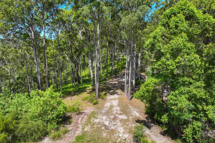Fourth view of Homely land listing, 40 Rocky Creek Forest Road, Maroochy River QLD 4561