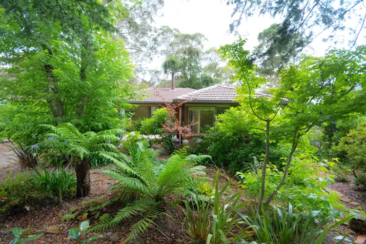 33 Jubilee Avenue, Blackheath NSW 2785