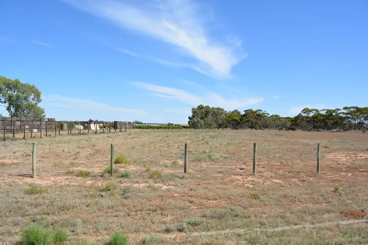 Fourth view of Homely rural property listing, 249 Seventh Street, Merbein South VIC 3505
