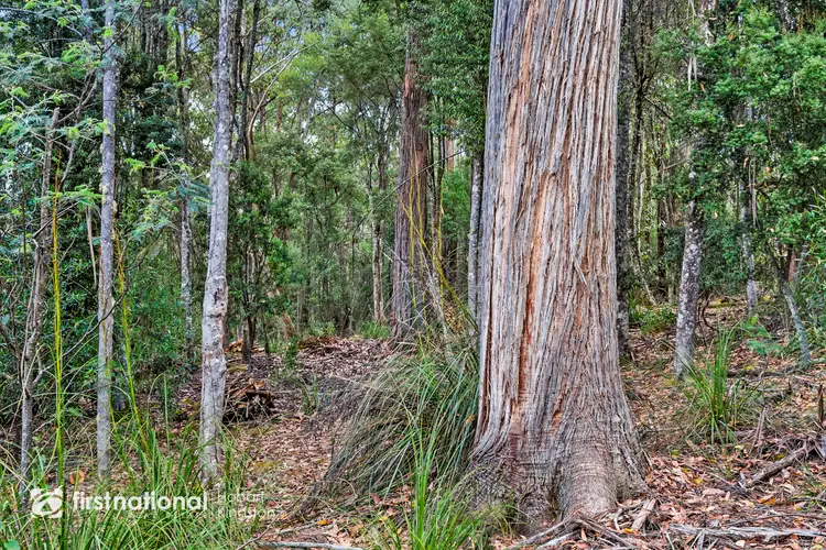 Seventh view of Homely land listing, 92 Lloyds Road, Franklin TAS 7113