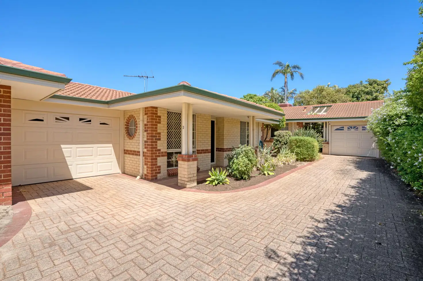 Main view of Homely villa listing, 3/11 Orchid Street, Joondanna WA 6060
